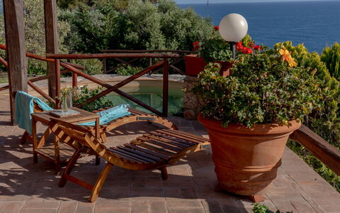 Villa Argentina: Meubilair, Zee, Bloempot, Kust En Oceanic Landvormen, Buitenmeubels, Oceaan, Kust, Buitentafel, Stoel, Kamerplant