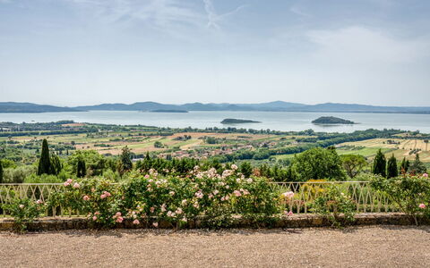 Villa Domus Papi: Landschap, Struik, Plantage