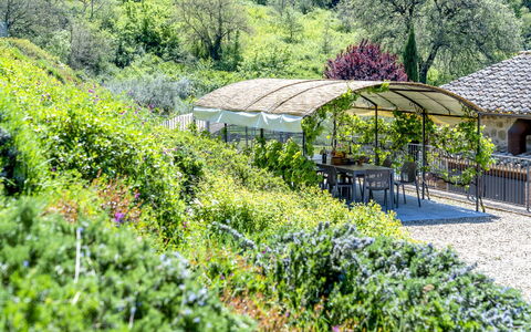 Villa Trasimena: Vegetation, Struik, Tuin, Landschap, Plantengemeenschap, Groundcover, De Lente, Landscaping, Botanische Tuin