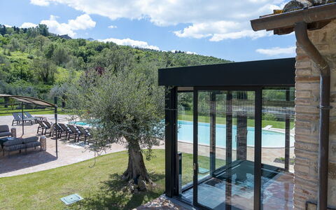 Villa Trasimena: Zwembad, Schaduw, Eco Hotel, Toevlucht, Landscaping, Landgoed, Buitenmeubels, Tuin, Outdoor Structuur, Backyard