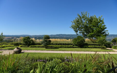 Podere Vigna Nuova: Lucht, Groen, Natuur, Boom, Gras, Natuurlijke Omgeving, Blad, Natuurlijk Landschap, Vegetation
