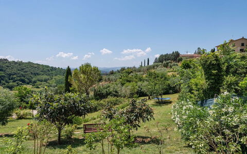 Podere Oliveta: Vegetation, Struik, Plantengemeenschap, Landelijk Gebied, Heuvel Station, Plantage, Tuin, Shrubland, Botanische Tuin, Dicht Struikgewas