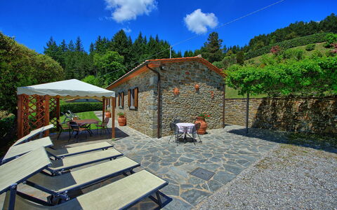 Villa Portole Due: Verblijf, Eco Hotel, Tuin, Toevlucht, Landgoed, Flagstone, Landscaping, Boerderij, Werf, Backyard