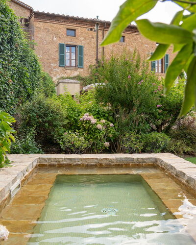 Town House Garden: Struik, Tuin, Waterpartij, Landscaping, Backyard, Haag, Binnenplaats, Zwembad, Flagstone, Botanische Tuin