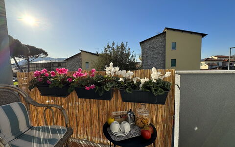 Sto Bene Qua: Bloempot, Balkon, Kamerplant, Bloemisterij, Bloemdessin, Binnenplaats