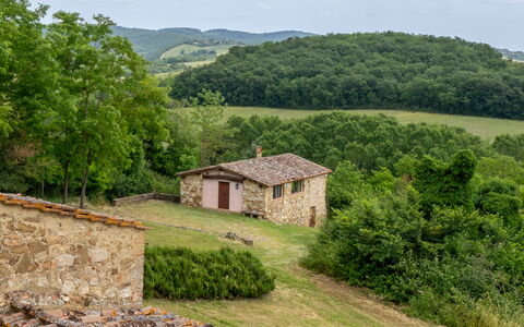 In the Heart of Chianti, Pool, Wifi, View - Lillia: Gras, Boom, Huis, Grasland, Landelijk Gebied, Verblijf, Land Lot, Boerderij, Dak