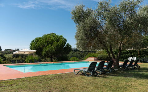 Country House In Tuscan Hills: Zwembad, Toevlucht, Hacienda, Tuin, Landgoed, Landscaping, Eco Hotel, Schaduw, Buitenmeubels, Villa