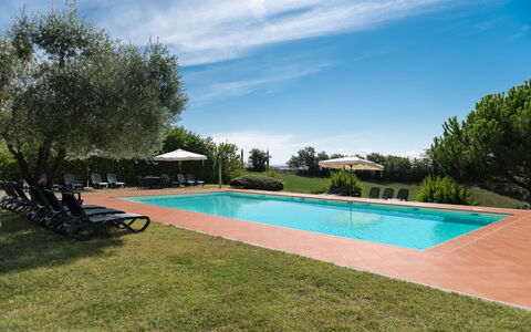 Green Hill Apartment In Tuscan Countryside: Landgoed, Zwembad, Hacienda, Landscaping, Toevlucht, Plantage, Eco Hotel, Villa, Boerderij
