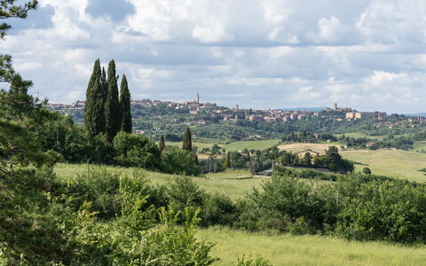 Capanna Di Elfo: Gras, Grasland, Vegetation, Horizon, Landschap, Ecoregio, Plain, Land Lot, Plantengemeenschap, Weide