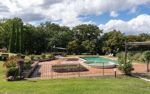 Dimora Di Castroncello: Boom, Landschap, Tuin, Gazon, Park, Landscaping, Schaduw, Landgoed, Werf