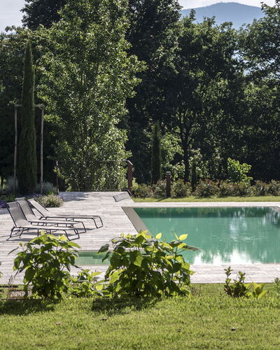 Villa Cortona: Eco-Sustainable Luxury Estate with: Struik, Tuin, Zwembad, Landscaping, Backyard, Schaduw, Gazon, Flagstone, Werf, Buitenmeubels