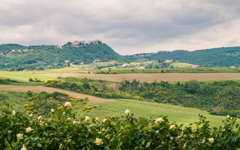 Villa Petrosa: Your Private Escape Overlooking the: Groen, Vegetation, Natuurlijk Landschap, Heuvel, Grasland, Landschap, Landelijk Gebied, Plantage, Plain, Veld