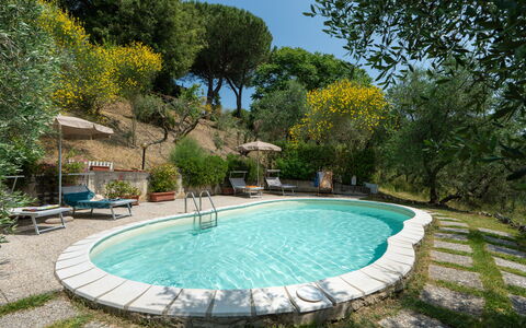 Casa Livia: Zwembad, Buitenmeubels, Meubilair, Toevlucht, Stoel, Tuin, Backyard, Eco Hotel, Schaduw, Hacienda