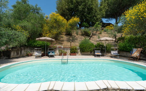 Casa Livia: Zwembad, Meubilair, Buitenmeubels, Stoel, Toevlucht, Paraplu, Schaduw, Buitentafel, Tuin, Backyard