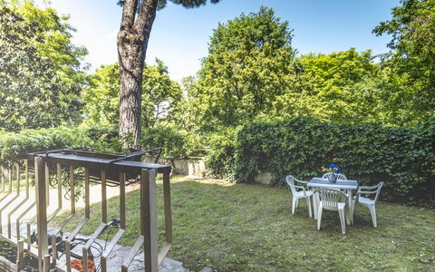 Suite Vogel: Blad, Struik, Tuin, Schaduw, De Lente, Zonlicht, Backyard, Gazon, Landscaping, Werf