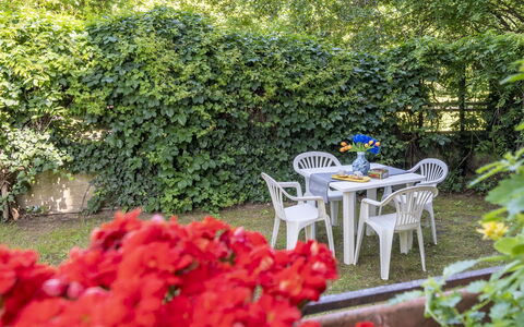 Suite Vogel: Blad, Groen, Struik, Tuin, Groundcover, De Lente, Schaduw, Backyard, Werf, Landscaping