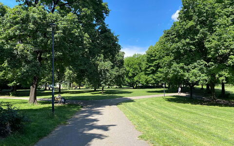 Suite Vogel: Dag, Gras, Blad, Boom, Natuurlijke Omgeving, Afdeling, Natuur, Vegetation, Struik, Openbare Ruimte