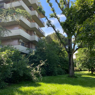 Suite Vogel: Vegetation, Struik, Appartement, Tuin, Condominium, Landscaping, Evergreen