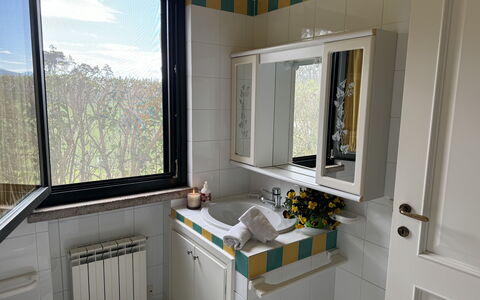 Green Hills 13: Loodgieterswerkinrichting, Wastafel, Wastafel In De Badkamer, Interieur Ontwerp, Kraan, Loodgieter, Badkamer, Countertop, Kamer, Spiegel