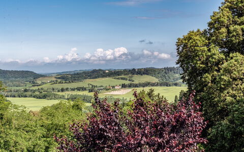 Tenuta i Mandorli, Pool, Wifi, Peccioli: Groen, Boom, Blad, Natuur, Natuurlijke Omgeving, Bergachtig Landvormen, Natuurlijk Landschap, Vegetation, Heuvel, Grasland