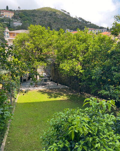 Corso Roma 15 Vacanze - Levanto: Groen, Blad, Vegetation, Struik, Tuin, Groundcover, De Lente, Landscaping, Backyard, Werf