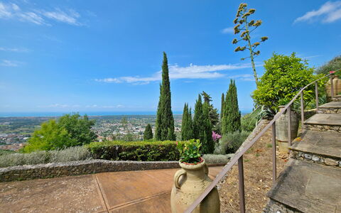 Uno Sguardo sul Mare: Landschap, Landscaping, Evergreen, Botanische Tuin, Pine Family