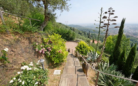 Uno Sguardo sul Mare: Vegetation, Struik, Landschap, Plantengemeenschap, Tuin, Groundcover, Gang, Trail, Botanische Tuin
