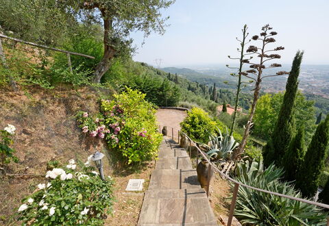 Uno Sguardo sul Mare: Vegetation, Struik, Landschap, Plantengemeenschap, Tuin, Groundcover, Gang, Trail, Botanische Tuin