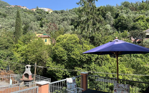 Anne-britt Home: Balkon, Hek, Schaduw, Eco Hotel, Veranda, Hacienda, Bloempot, Kamerplant