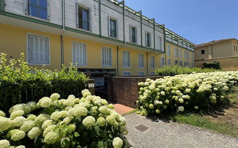 Ai Cantici: Struik, Tuin, Landscaping, Schaduw, Haag, Werf, Binnenplaats, Landgoed, Gazon, Backyard