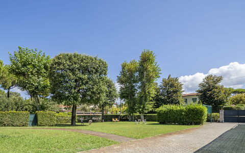 Attico Marino: Groen, Gras, Struik, Openbare Ruimte, Tuin, Groundcover, Gazon, Schaduw, Haag, Landscaping