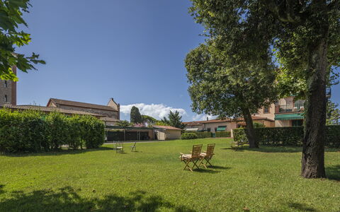 Attico Marino: Gras, Boom, Struik, Landschap, Land Lot, Tuin, Gazon, Groundcover, Schaduw