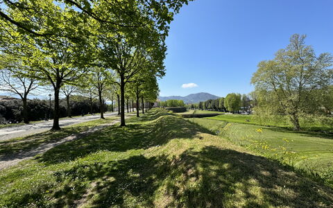 Il Cervo In Città: Groen, Gras, Natuur, Natuurlijk Landschap, Vegetation, Grasland, Heuvel, Plain, Landschap, Land Lot