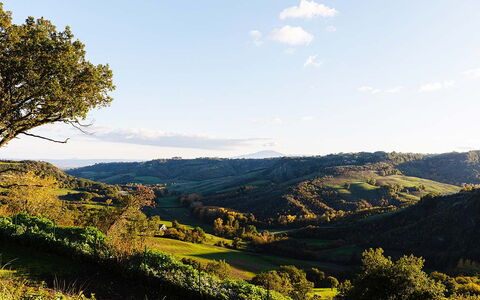 Villa Sassinoro: Bergachtig Landvormen, Groen, Heuvel, Natuur, Natuurlijk Landschap, Vegetation, Berg, Grasland, Hoogland, Landschap