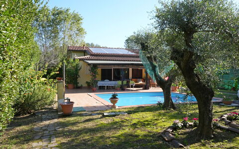 La Sevillana: Huis, Tuin, Backyard, Hacienda, Schaduw, Werf, Verblijf, Landgoed, Landscaping, Boerderij