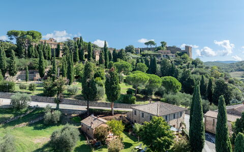 Maria Gabriella Holiday Home In Monticchiello: Boom, Vegetation, Struik, Landschap, Land Lot, Landelijk Gebied, Landgoed, Landscaping, Dorp