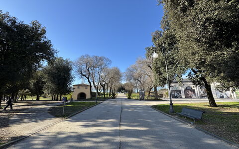 Casa Capolino: Boom, Gras, Afdeling, Weg Oppervlak, Openbare Ruimte, Woody Plant, Schaduw, Park, Oprit, Stoep