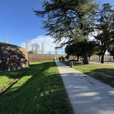 Casa Capolino: Gras, Boom, Gazon, Gang, Stoep, Landscaping, Tuin, Park, Oprit, Schaduw