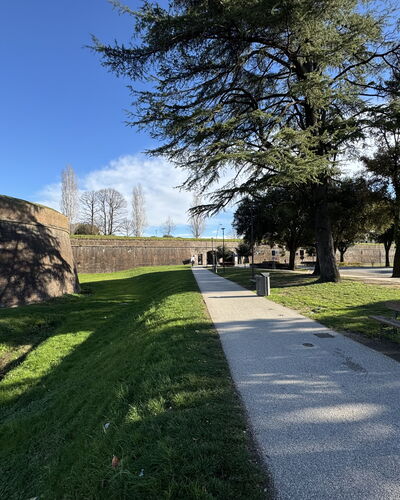 Casa Capolino: Gras, Boom, Gazon, Gang, Stoep, Landscaping, Tuin, Park, Oprit, Schaduw