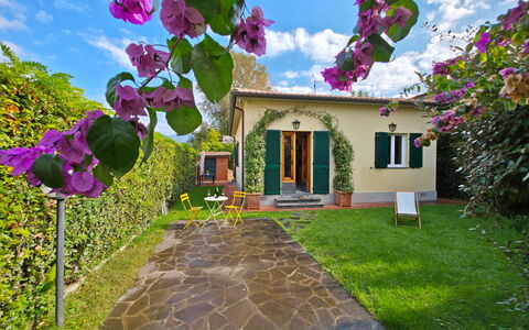 Villetta Tonfano: Struik, Tuin, Landscaping, Werf, Backyard, Gazon, Schaduw, Bloempot, Hacienda