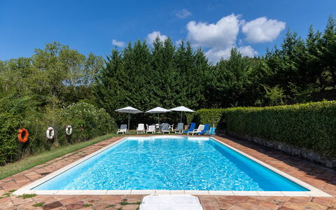 Mulino di Carpineto with Pool Gaiole in Chianti: Zwembad, Toevlucht, Buitenmeubels, Eco Hotel, Tuin, Schaduw, Ligstoel, Landscaping, Thermae, Hacienda