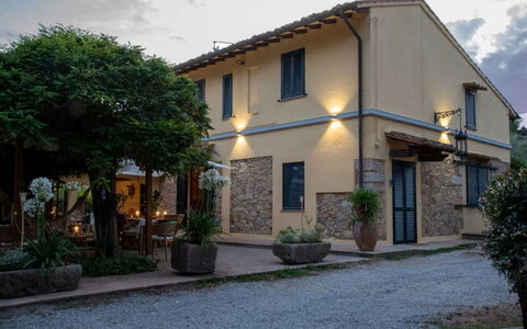 Podere la Botte, Pool, Lari: Deur, Huis, Bloempot, Schaduw, Kamerplant, Landgoed, Werf, Luifel, Balkon, Oprit