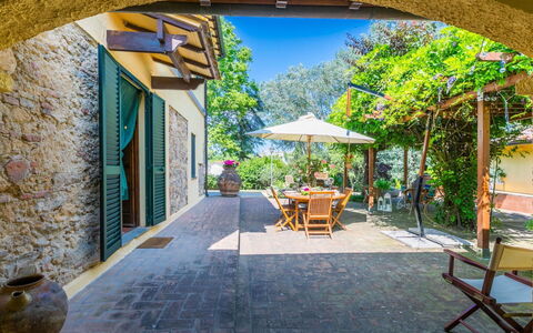 Podere la Botte, Pool, Lari: Deur, Bloempot, Flagstone, Tuin, Schaduw, Kamerplant, Landscaping, Hacienda, Cobblestone, Werf