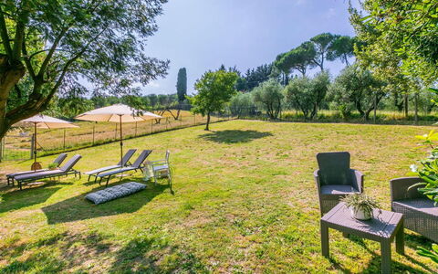 Podere la Botte, Pool, Lari: Gras, Struik, Land Lot, Plain, Tuin, Weide, Gazon, Park, Pasture, Landscaping
