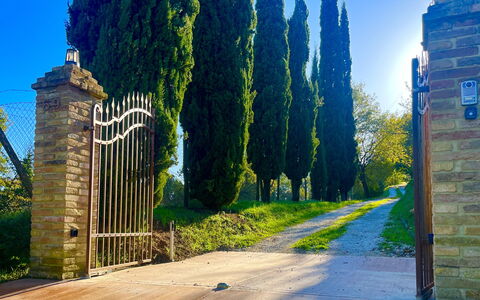 Villa Vindelbono: Tuin, Landscaping, Gang, Schaduw, Evergreen