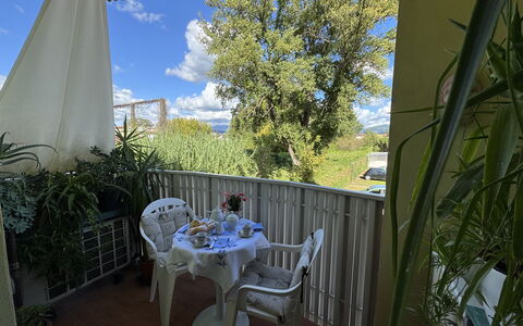 Liz: Meubilair, Stoel, Tafel, Buitentafel, Buitenmeubels, Keuken En Eettafel, Schaduw, Balkon, Kamerplant, Backyard