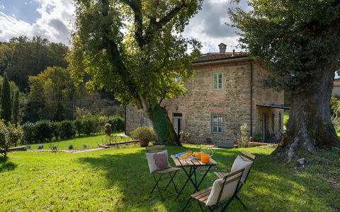 La Morella: Huis, Huis, Struik, Verblijf, Landgoed, Tuin, Land Lot, Landelijk Gebied, Boerderij, Gazon