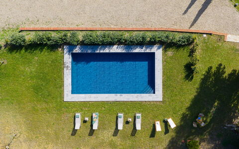 La Morella: Zwembad, Vrije Tijd, Tuin, Gazon, Buitenmeubels, Landscaping, Toevlucht, Kunstgras, Waterpartij, Backyard