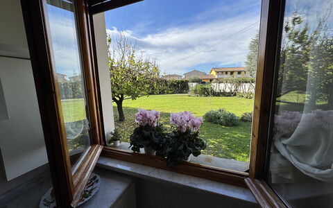 Villa Lory: Tuin, Bloempot, Kamerplant, Landscaping, Werf, Daylighting, Balkon, Backyard, Bloemisterij