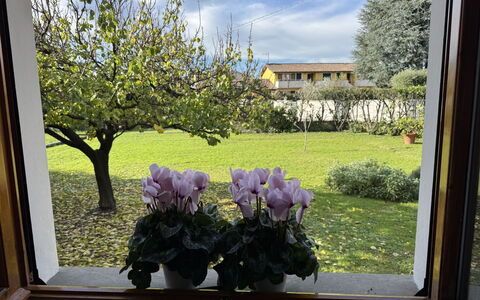 Villa Lory: Bloem, Petal, Bloempot, De Lente, Tuin, Bloemisterij, Kamerplant, Tulp